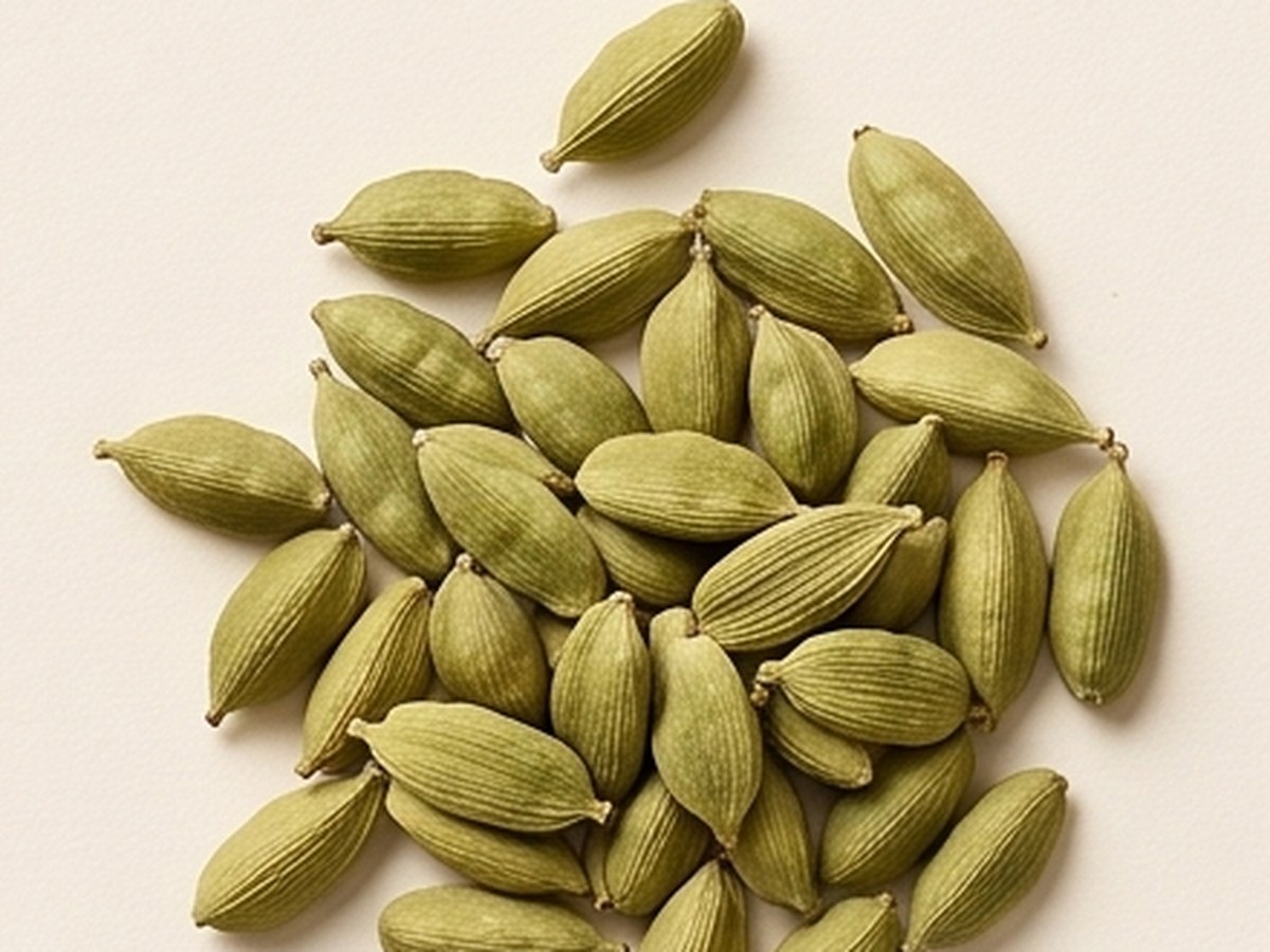 Whole green cardamom pods on a cream background