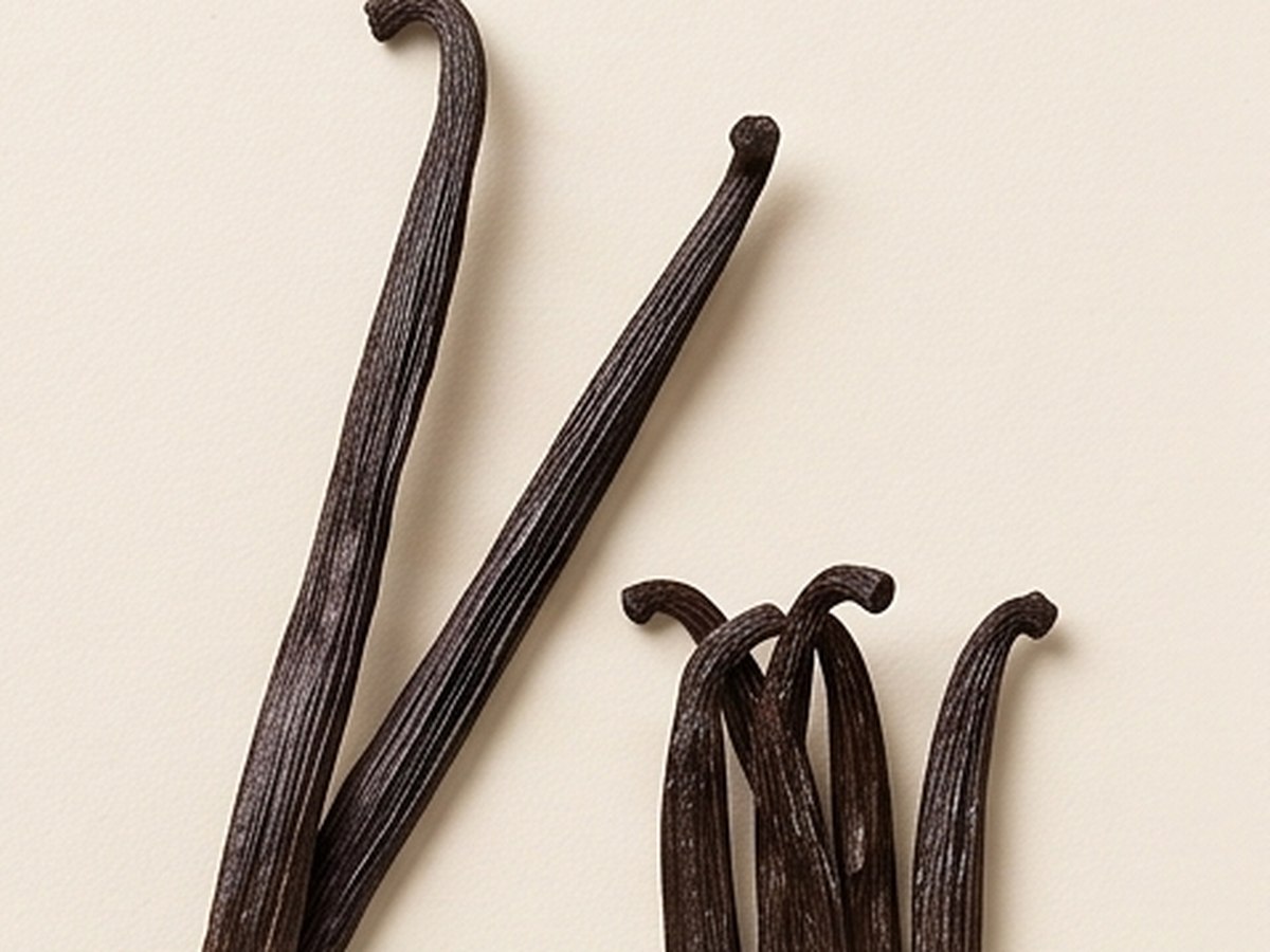Cured vanilla beans on a cream background